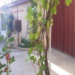Satılır 4 otaqlı Həyət evi/villa, Neftçilər metrosu, Bakıxanov qəs., Sabunçu rayonu 10