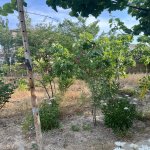 Satılır 4 otaqlı Həyət evi/villa Qobustan 21