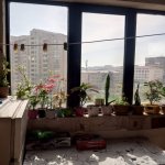 Satılır 1 otaqlı Köhnə Tikili, Gənclik metrosu, Nərimanov rayonu 7