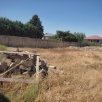 Satılır Torpaq, Saray, Abşeron rayonu 6