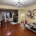 Kirayə (aylıq) 1 otaqlı Yeni Tikili, Nəriman Nərimanov metrosu, Nərimanov rayonu 8