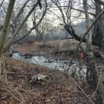 Kirayə (günlük) 3 otaqlı Həyət evi/villa Qəbələ 26