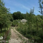 Kirayə (günlük) 2 otaqlı Bağ evi Quba 6