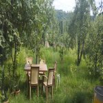 Kirayə (günlük) 3 otaqlı Bağ evi Qusar 14