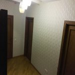 Kirayə (aylıq) 2 otaqlı Yeni Tikili, Nəriman Nərimanov metrosu, Nərimanov rayonu 4