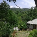 Satılır 12 otaqlı Həyət evi/villa İsmayıllı 5