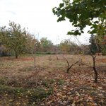 Satılır 4 otaqlı Həyət evi/villa Xaçmaz 11