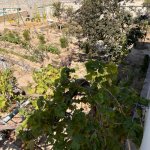 Satılır 4 otaqlı Həyət evi/villa, Novxanı, Abşeron rayonu 18