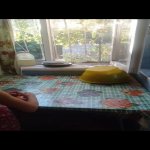 Satılır 3 otaqlı Həyət evi/villa Ağstafa 25