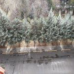 Satılır 3 otaqlı Köhnə Tikili, Dərnəgül metrosu, 7-ci mikrorayon, Binəqədi rayonu 2