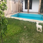 Kirayə (aylıq) 5 otaqlı Bağ evi, Novxanı, Abşeron rayonu 64