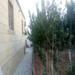 Kirayə (aylıq) 4 otaqlı Həyət evi/villa, Abşeron rayonu 39