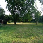 Kirayə (günlük) 3 otaqlı Bağ evi Qəbələ 13