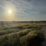 Satılır Torpaq, Abşeron rayonu 12