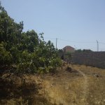 Satılır Torpaq, Maştağa qəs., Sabunçu rayonu 19
