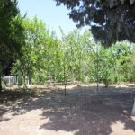 Продажа 10 комнат Дома/Виллы, м. Короглу метро, пос. Маштага, Сабунчу район 9