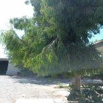Kirayə (aylıq) Obyekt, Azadlıq metrosu, Binəqədi qəs., Binəqədi rayonu 5