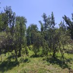 Посуточно 3 комнатная Дача Гусар 13