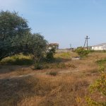 Satılır Torpaq, Novxanı, Abşeron rayonu 19