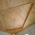 Kirayə (günlük) 4 otaqlı Həyət evi/villa Lənkəran 25