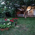 Kirayə (günlük) 3 otaqlı Həyət evi/villa Qusar 2