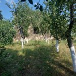 Kirayə (günlük) 5 otaqlı Həyət evi/villa Quba 14