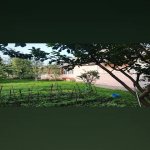 Satılır 5 otaqlı Həyət evi/villa Qəbələ 2
