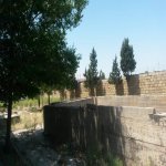 Satılır Torpaq, Saray, Abşeron rayonu 8