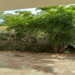 Продажа 5 комнатная Дома/Виллы, пос. Бадамдар, Сябаиль район 19