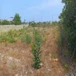 Satılır Torpaq, Kürdəxanı qəs., Sabunçu rayonu 2