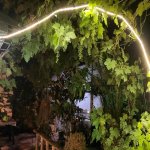 Kirayə (aylıq) 5 otaqlı Bağ evi, Mərdəkan, Xəzər rayonu 19