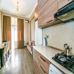 Kirayə (günlük) 2 otaqlı Yeni Tikili, 28 May metrosu, Nəsimi rayonu 11