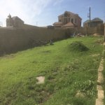 Satılır Torpaq, Mehdiabad, Abşeron rayonu 1