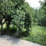 Kirayə (günlük) 2 otaqlı Həyət evi/villa İsmayıllı 1