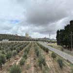 Продажа 4 комнатная Дома/Виллы, м. Ази Асланова метро, Хетаи район 27