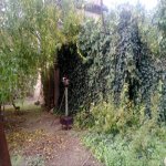 Продажа 3 комнатная Дома/Виллы, пос. Бюльбуля, Сураханы район 4