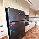 Kirayə (aylıq) 2 otaqlı Yeni Tikili, Nəriman Nərimanov metrosu, Heydər Əliyev Mərkəzi, Nərimanov rayonu 4