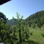Kirayə (günlük) 3 otaqlı Bağ evi Quba 8