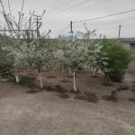 Satılır 4 otaqlı Bağ evi, Bilgəh qəs., Sabunçu rayonu 17