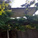 Kirayə (günlük) 3 otaqlı Həyət evi/villa Xaçmaz / Nabran 15