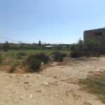 Satılır Torpaq, Novxanı, Abşeron rayonu 2