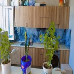 Satılır 3 otaqlı Həyət evi/villa, Binəqədi qəs., Binəqədi rayonu 5