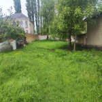 Satılır Torpaq Qəbələ 8