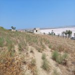 Satılır Torpaq, Masazır, Abşeron rayonu 10