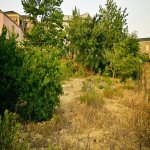 Продажа Участок, пос. Бадамдар, Сябаиль район 5