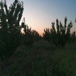 Продажа Участок Хачмаз 2