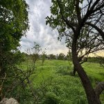 Satılır 3 otaqlı Həyət evi/villa İsmayıllı 13