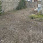 Продажа Участок, Шаган, Хязяр район 2