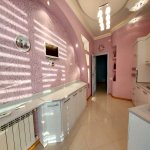Kirayə (aylıq) 3 otaqlı Yeni Tikili, Nəriman Nərimanov metrosu, Montin qəs., Nərimanov rayonu 10