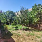 Satılır 5 otaqlı Bağ evi, Xətai rayonu 20
